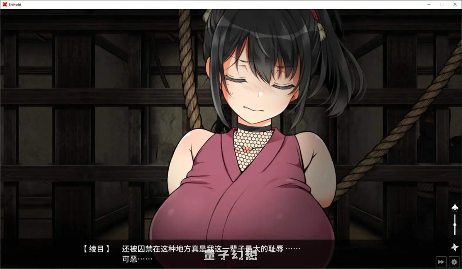 【最强之忍/RPG】忍堕－女忍调教  特别好评多人求档官方中文[11.3GB]