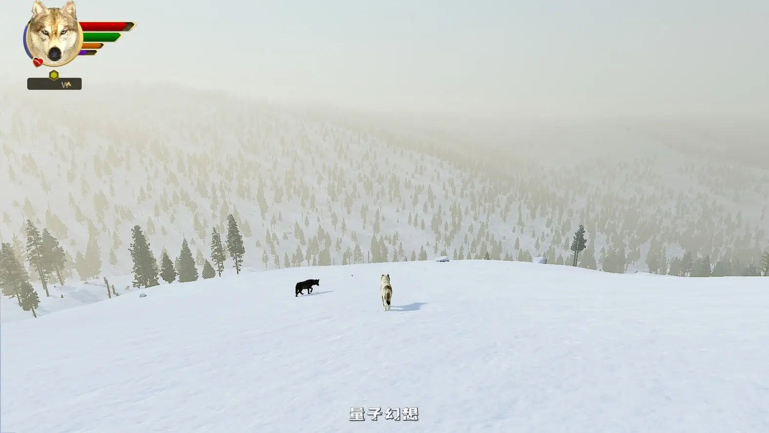 [生而为狼PC/精品模拟] 野狼谜踪 WolfQuest Ver2.0.2 英文版 [13G]