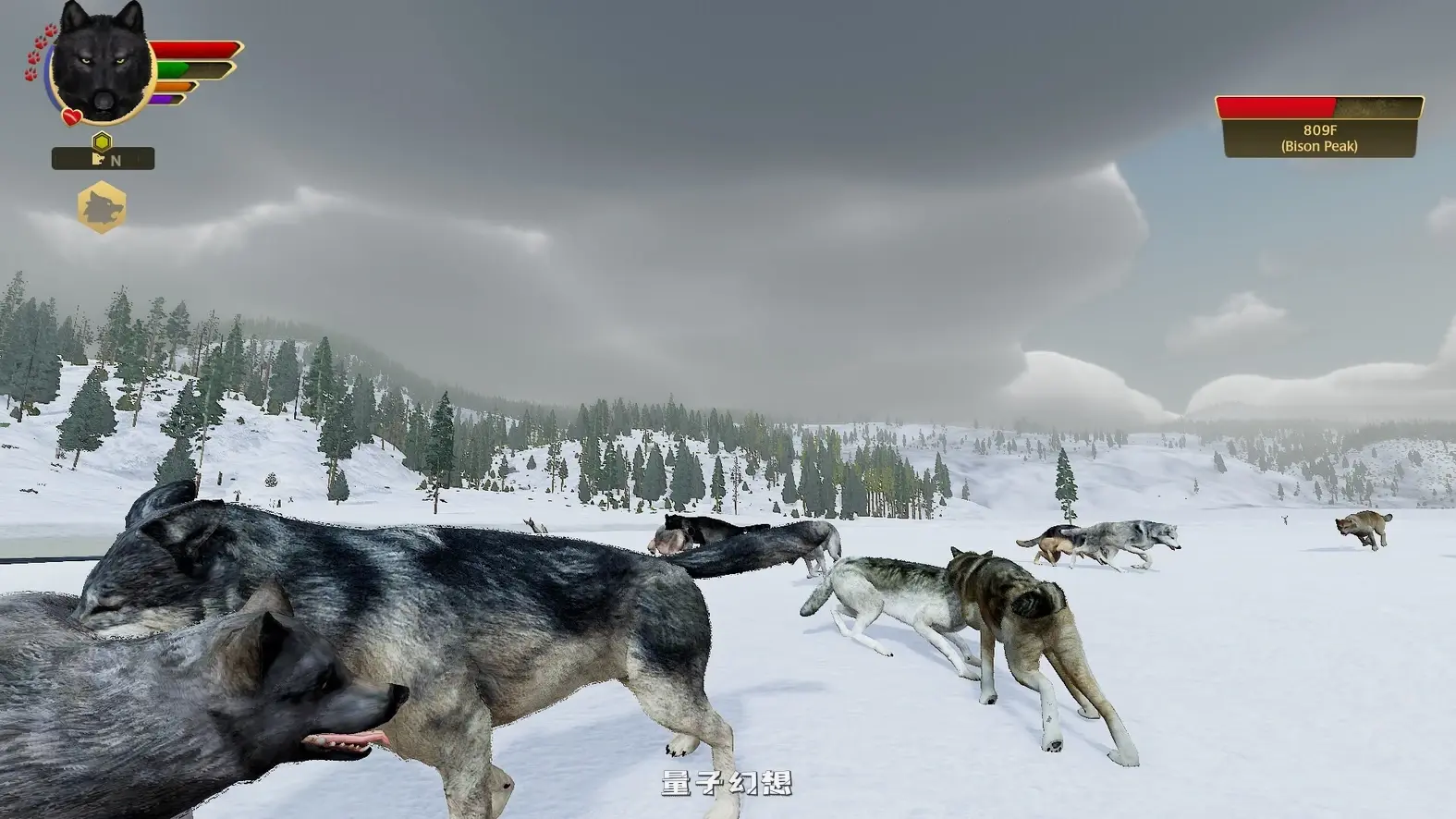 [生而为狼PC/精品模拟] 野狼谜踪 WolfQuest Ver2.0.2 英文版 [13G]