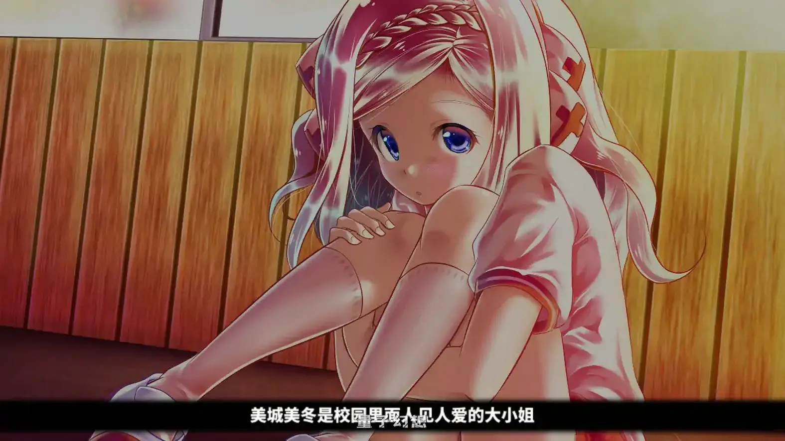 和大小姐的抚摸大会 官方中文版(日系SLG/2D/官中)235MB