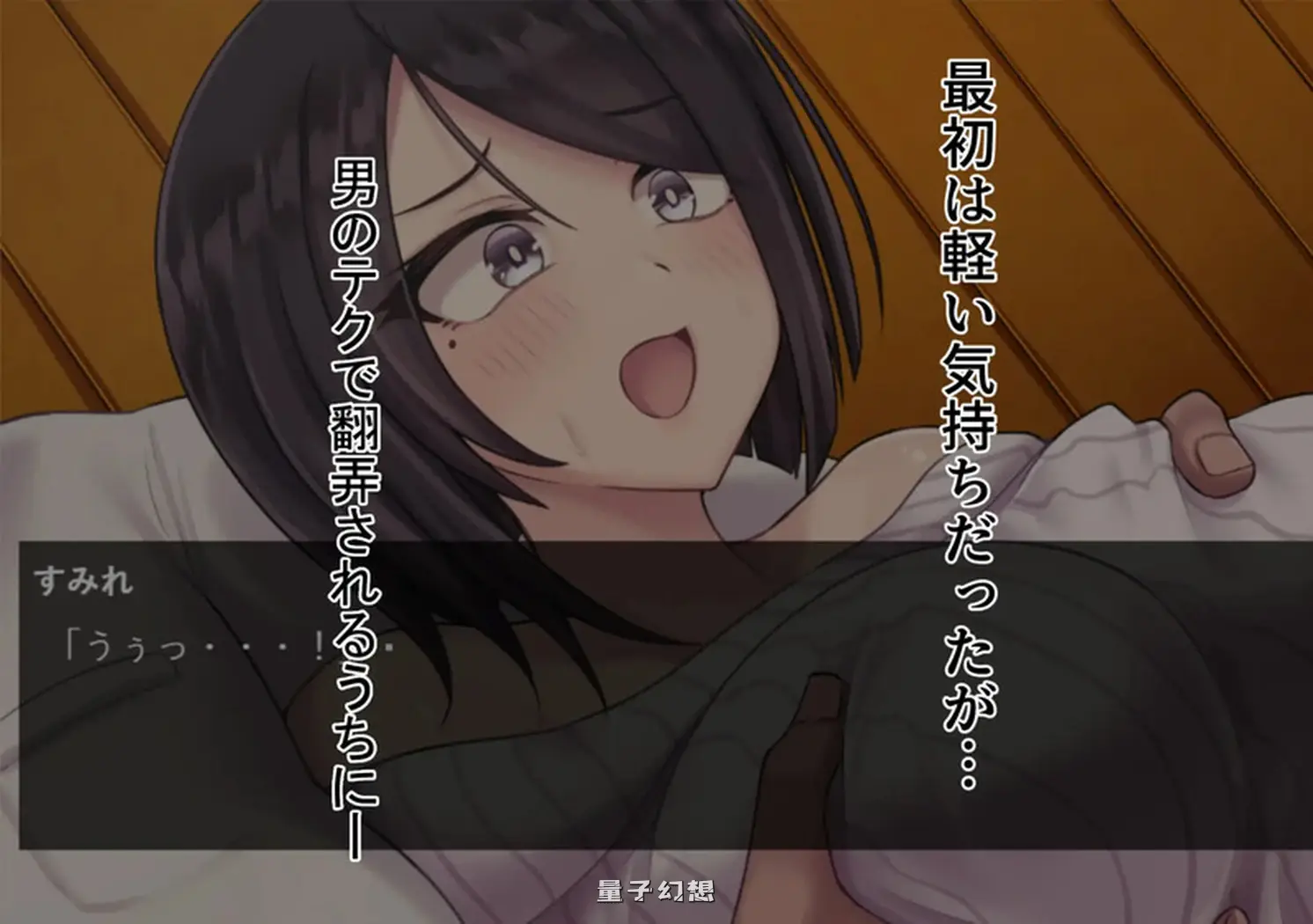 [日式/SLG] 抓住弱点，沉沦快感绝顶。 ～若妻寝取 AI汉化版 [900M]