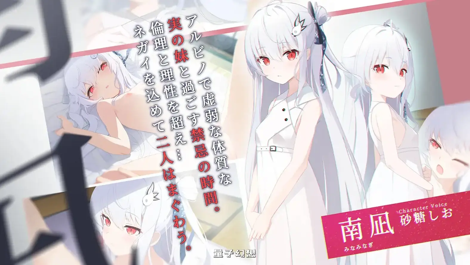 [日式/ADV] 只愿 カタネガイ Ver1.03 精翻汉化版 步兵版+全CG存档 [更新/4.40G]