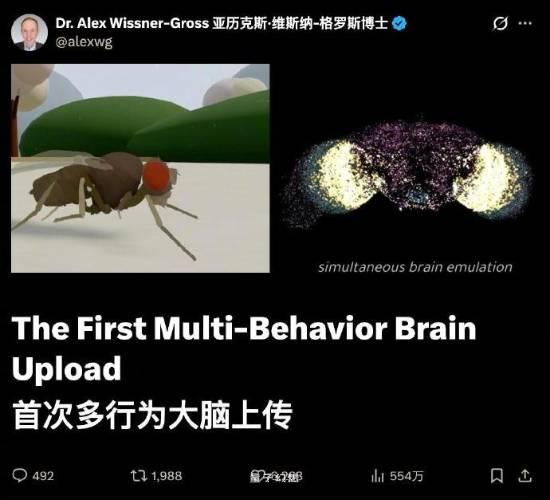 数字生命体真要来了?第一只赛博果蝇开始自主活动 数字生命体真要来了?第一只赛博果蝇开始自主活动