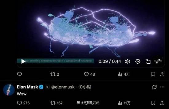 数字生命体真要来了?第一只赛博果蝇开始自主活动 数字生命体真要来了?第一只赛博果蝇开始自主活动