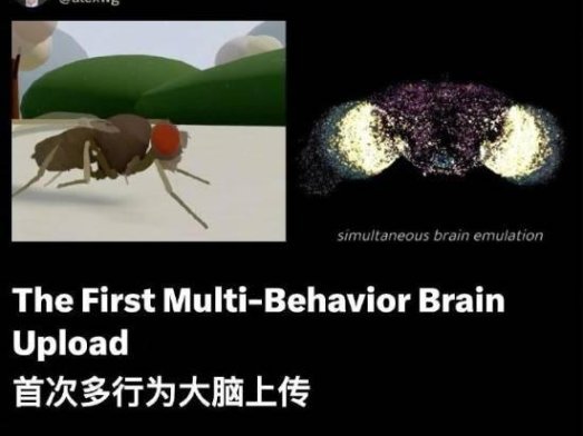 数字生命体真要来了？第一只赛博果蝇开始自主活动